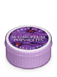 Sugar Plum Poinsettia Kringle Candle   Daylight