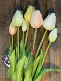 Tulpen Real Toch Pastel mix 7 stelen 43cm