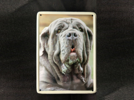 Mastino Napoleta  Vintage Muurbordje metaal