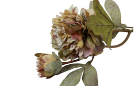 Real Touch  Kunstbloem Paeonia Viola grijs 66 cm 