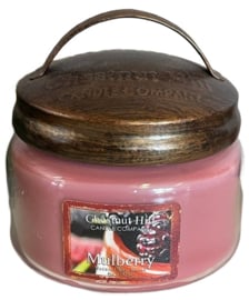 Chestnut Hill Mulberry 2 wick Candle 284 Gr