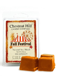 Chestnut Hill Candles Soja Wax Melt Fall Festival