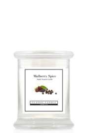 Mulberry Spice  Classic Candle Midi Jar