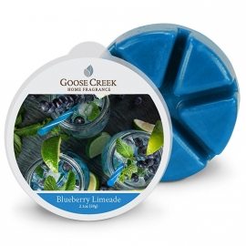 Blueberry Limeade Goose Creek Waxmelt