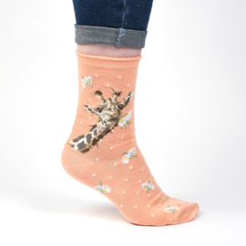 Wrendale Designs Socks  'Flowers ' Giraf