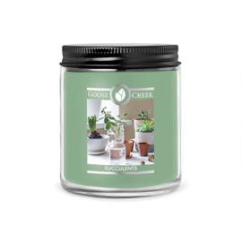 Succulents Goose Creek Candle® 45 Branduren 198 Gram