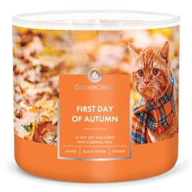 First Day of Autumn Goose Creek  Candle® 3 Wick 411 gram