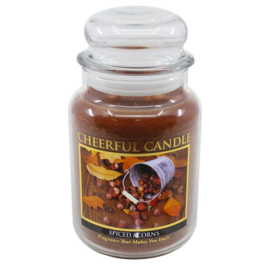 Spiced Acorns Geurkaars Cheerful 2 wick 680 gram – 2 lonten