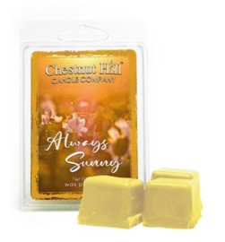 Always Sunny Chestnut Hill Candles Soja Wax Melt