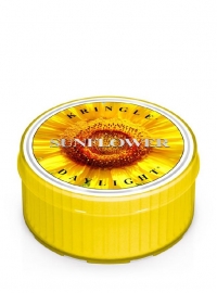 Sunflower Kringle Candle  Daylight