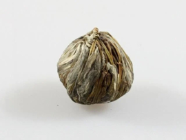 Bloeiende theebloemen mix – 6 stuks in luxe geschenkdoos