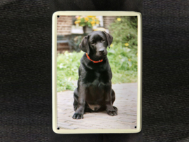 Labrador Retriever (donker)   Vintage Muurbordje