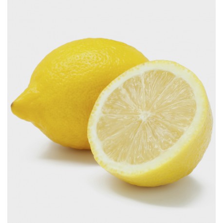 Mint Ocean Yodeyma Paris Eau de Parfum 50 ml.