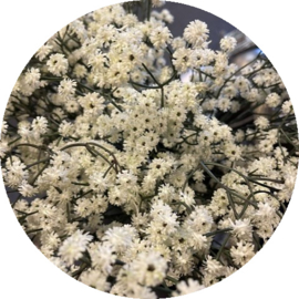 Kunstbloem Gypsophila wit  62 cm