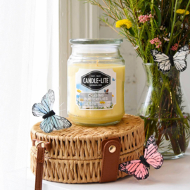 Chasing Butterflies Candle-lite Everyday 510 g