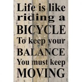 Tekstbord Life is like riding a Bicycle