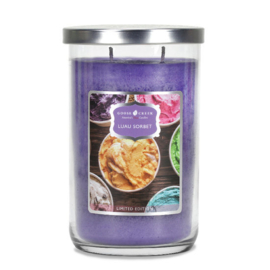 Luau Sorbet  Geurkaars Goose Creek Candle 120 Branduren