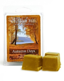 Chestnut Hill Candles Soja Wax Melt  Autumn Days