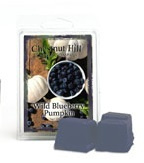 Chestnut Hill Candles Soja Wax Melt Wild Blueberry Pumpkin