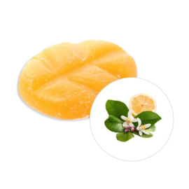 Scentchips per stuk