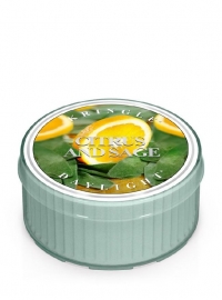 Citrus & Sage Kringle Candle Daylight