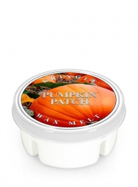 Pumpkin Patch  Kringle Candle Waxmelt