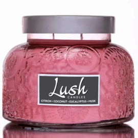 Citron  Coconut  Eucalyptus  Musk geurkaars Lush  Cheerful Candle 567 gram