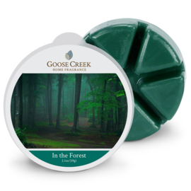 In the Forest  Goose Creek Candle 1 Wax Melt blokje