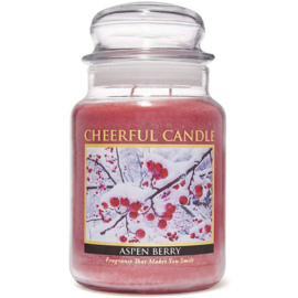 Aspen Berry Cheerful Candle 2 wick 680 gr