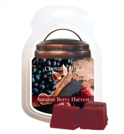 Autumn Berry Harvest Waxmelt – Chestnut Hill Candle Company® 99 gram