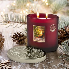 Home For Christmas Heart & Home  Ellipse 2 wick Candle