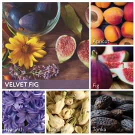 Velvet Fig geurkaars Cheerful Candle 2 lonten 680 gram