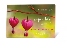 Ik ben zo super blij met een vriendin zoals jij incl envelop en zakje bloemzaden