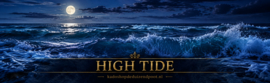 High Tide  geurkaars Cheerful Candle 2 lonten 680 gram