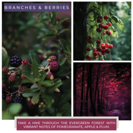Branches & Berries geurkaars Cheerful Candle 2 lonten 680 gram