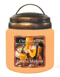 Apricot Mimosa Chestnut Hill 2 wick Candle 450 Gr