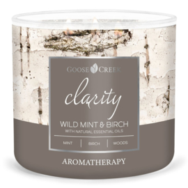 Wild Mint & Birch  Goose Creek Candle® Aromatherapie 3 wick 411 gram
