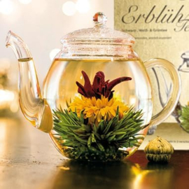 Bloeiende theebloemen mix – 6 stuks in luxe geschenkdoos