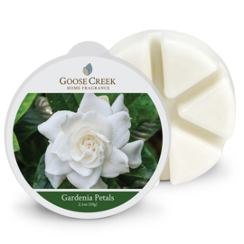 Gardenia Petals Goose Creek Waxmelt