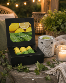 Scentchips® Citronella waxmelts cadeauset – 36 stuks