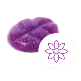 Scentchips® Violet Sky