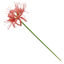Kunstbloem Amaryllis RealTouch Koraal (55 cm)