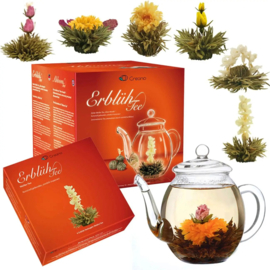 Theebloemen witte thee cadeauset met glazen theepot 500 ml