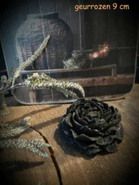 Black Rose 3 Amberblokjes in vorm van een roos 9 cm
