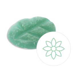 Scentchips® Green Oasis