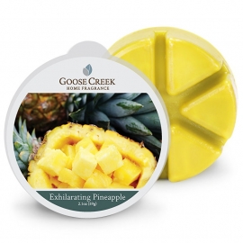 Exhilarating Pineapple Goose Creek   1 Waxmelt blokje