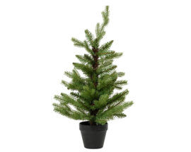 Kerstboom Real in zwarte pot 40x60 cm