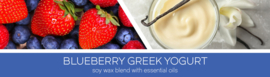 Blueberry Creek Yogurt Goose Creek Candle® 3 Wick 411 gram