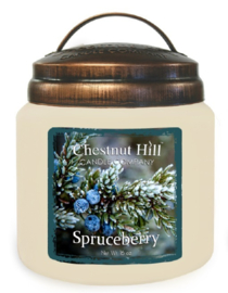 Spruceberry  Chestnut Hill  2 wick Candle 450 Gr