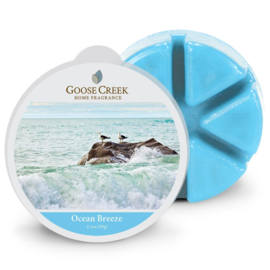 Ocean Breeze   Goose Creek Wax Melt Soy Wax Blend & Essential Oil